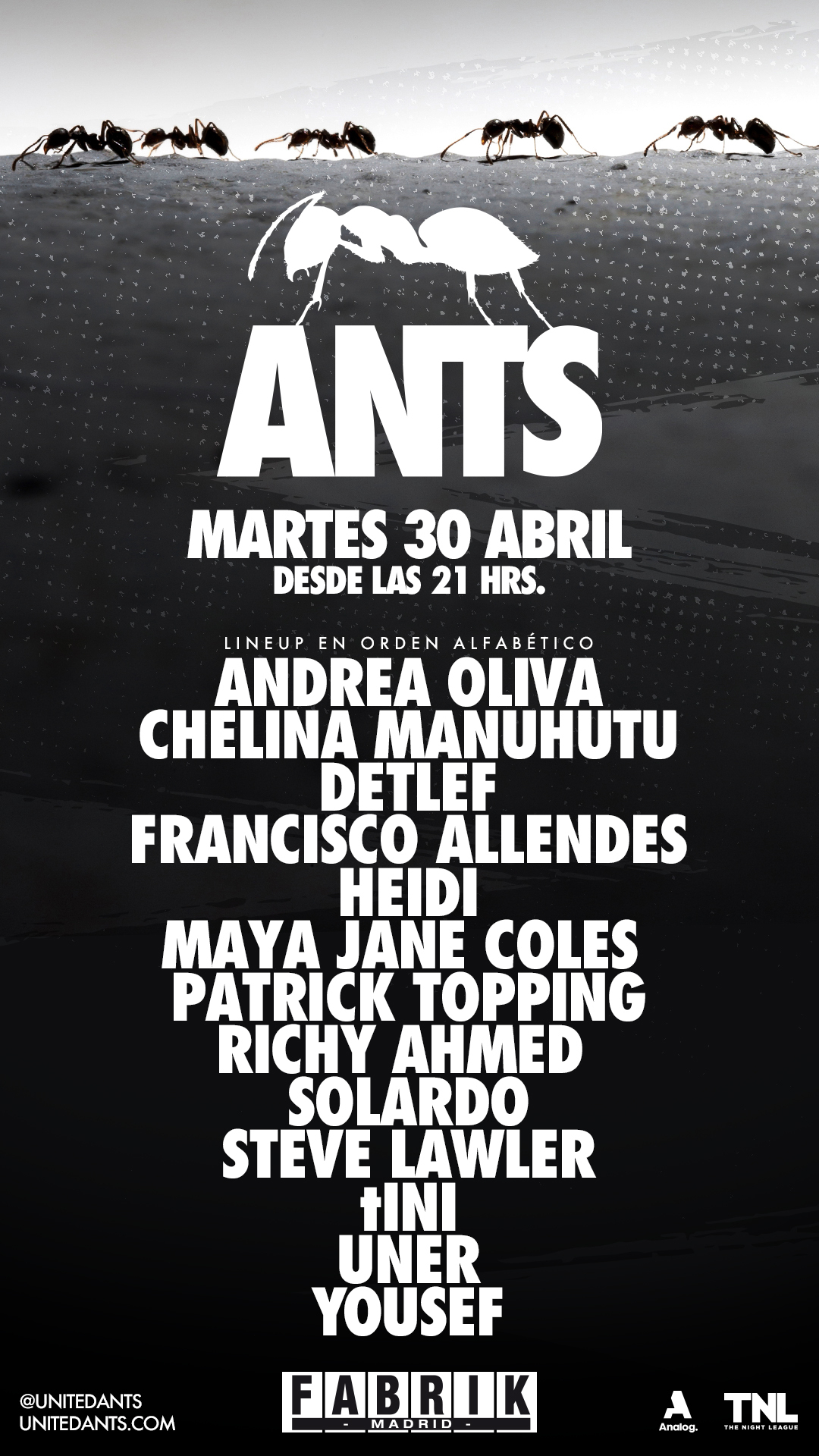 ants-5c8a8ceaee590.jpeg