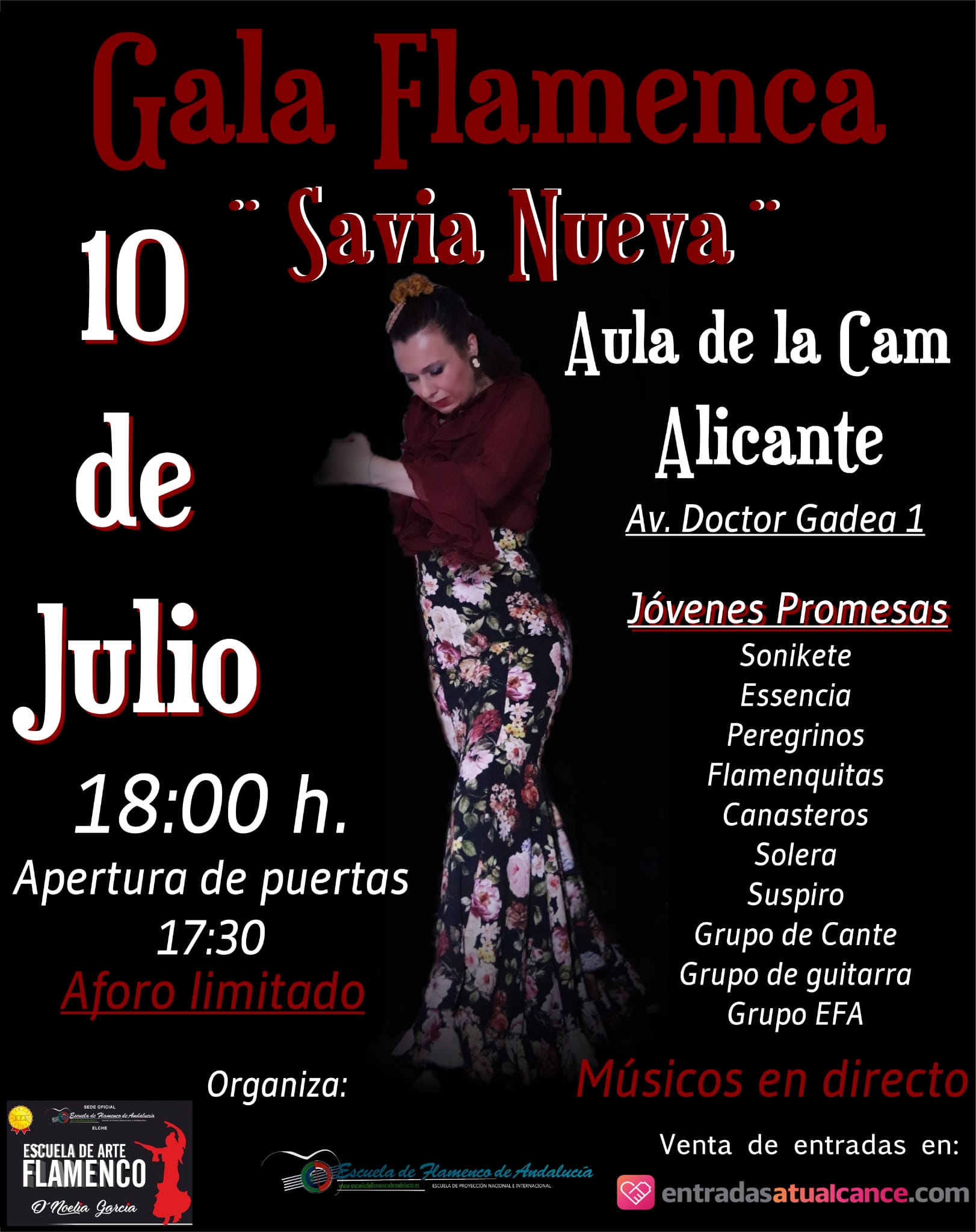 festival-de-arte-flamenco-savia-nueva-60cc7b2f2f870.jpeg