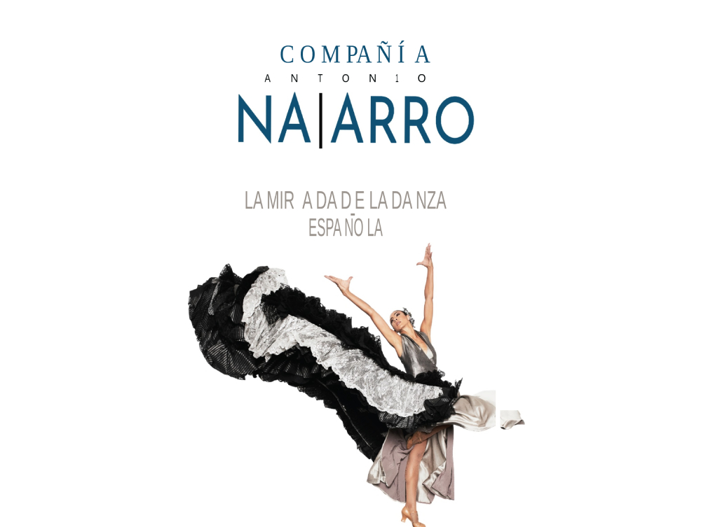 la-mirada-de-la-danza-espanola-619e348bb83654.83697711.jpeg